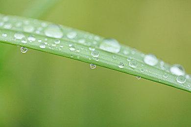 NEOWIZ独立游戏《小骨：英雄杀手》销量突破100万